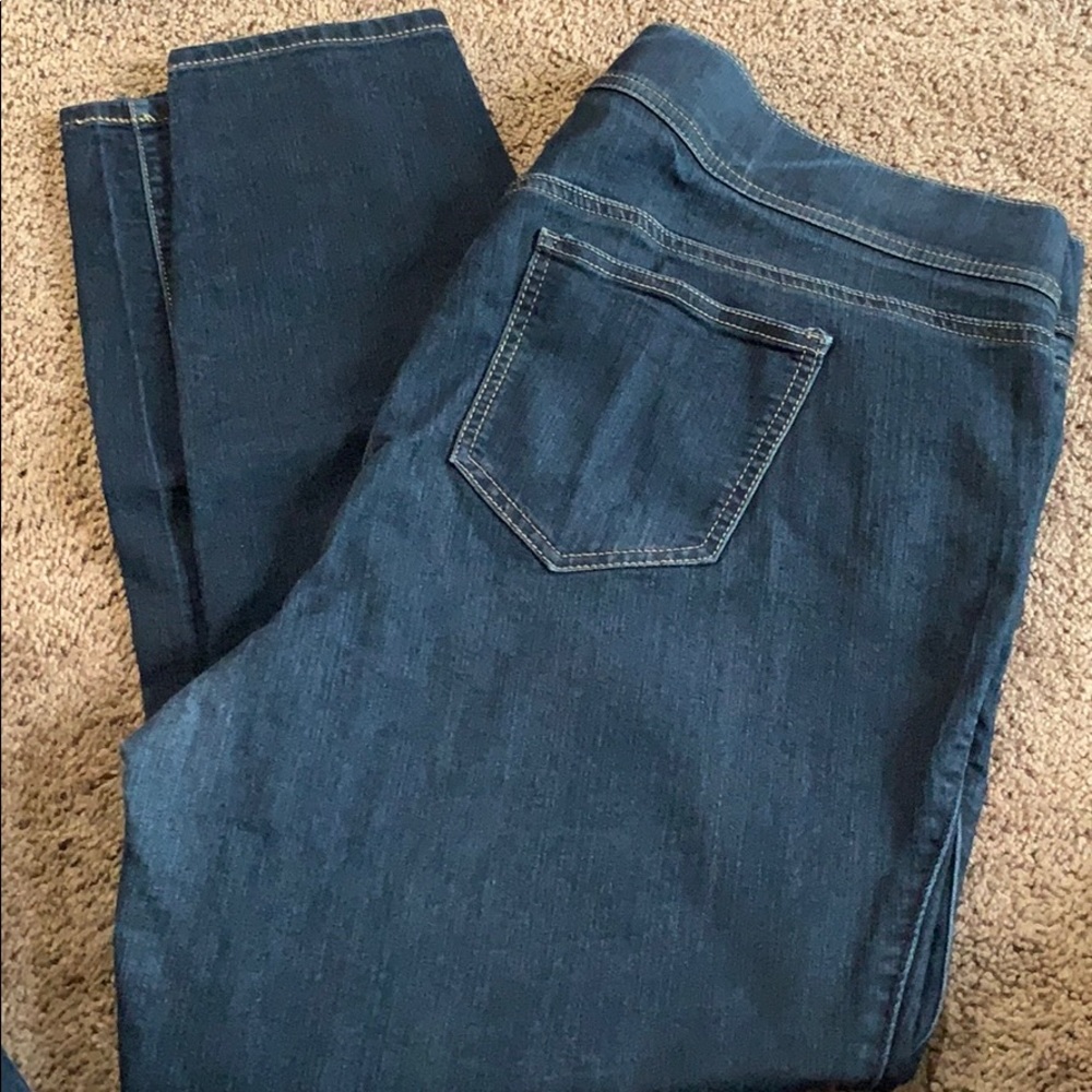 Torrid Denim Elastic Waist Jeggings
